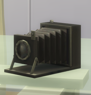 camera antique functional.png