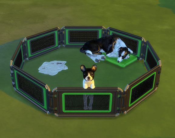 dog pen.png