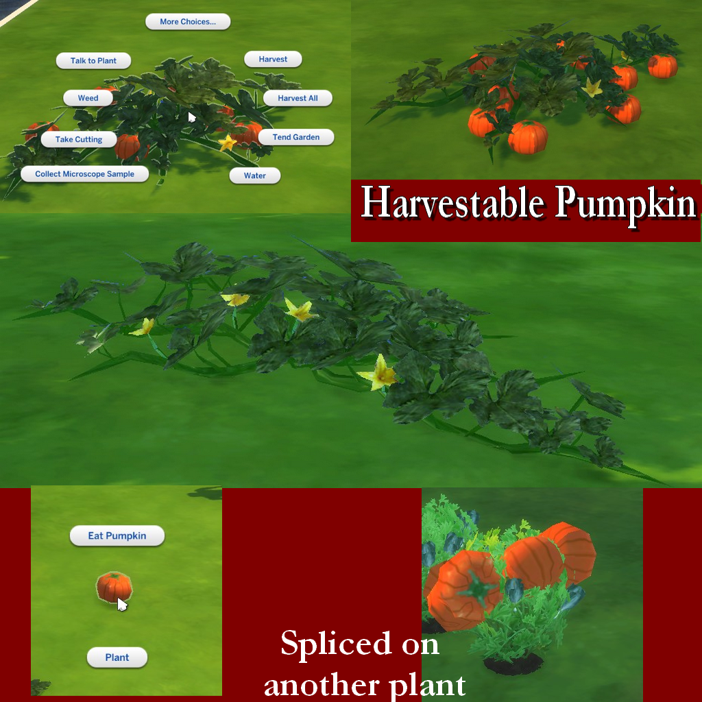 PumpkinPost2.png