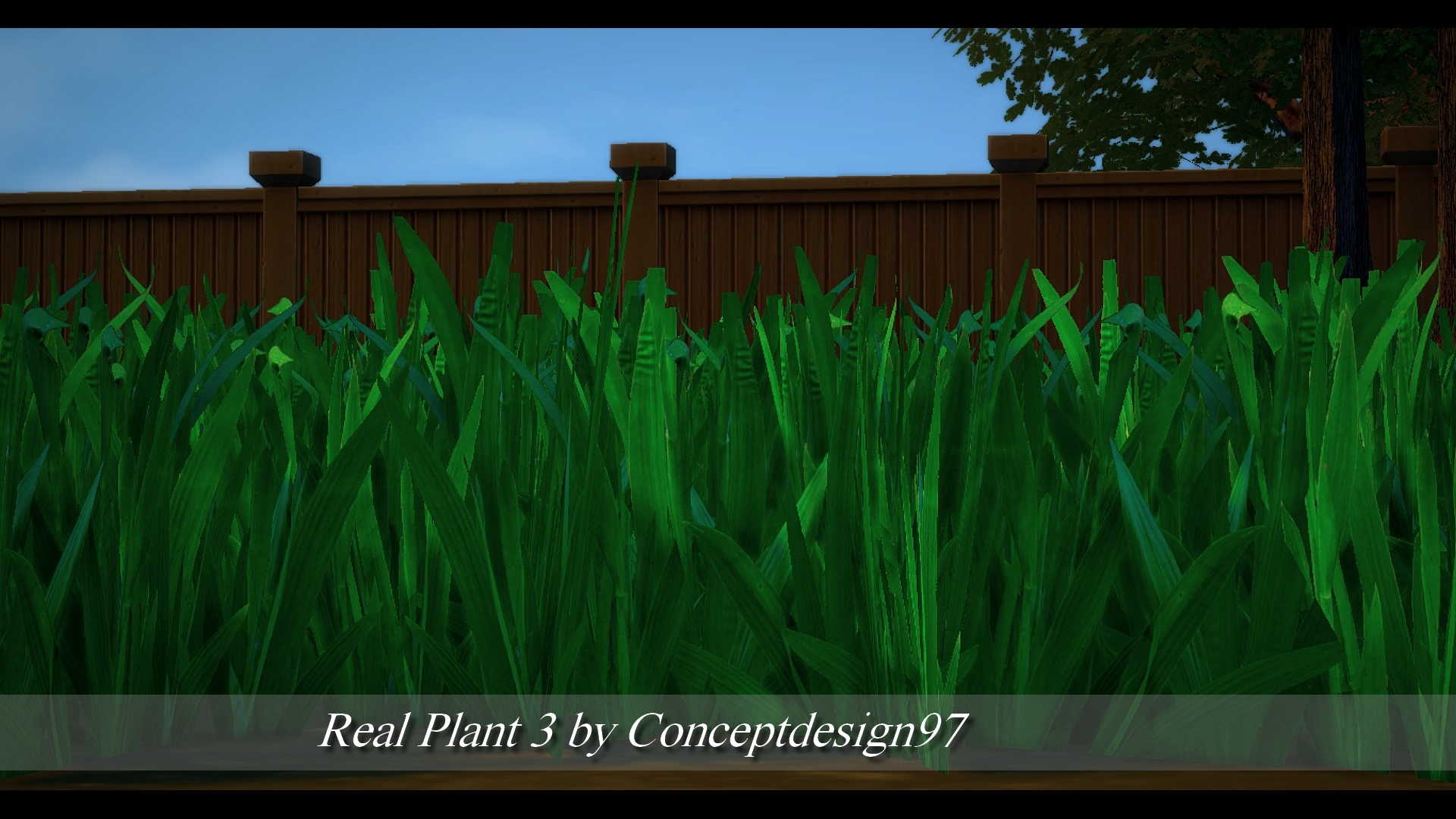 Real Plant 3.jpg