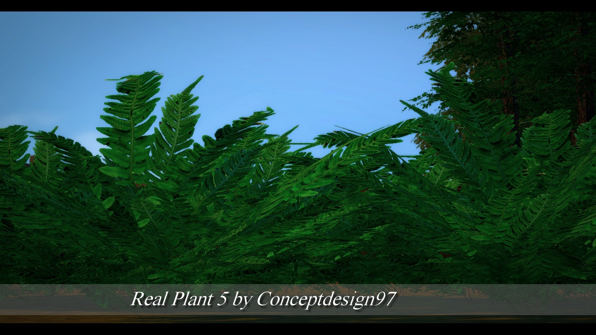 Real Plant 5.jpg