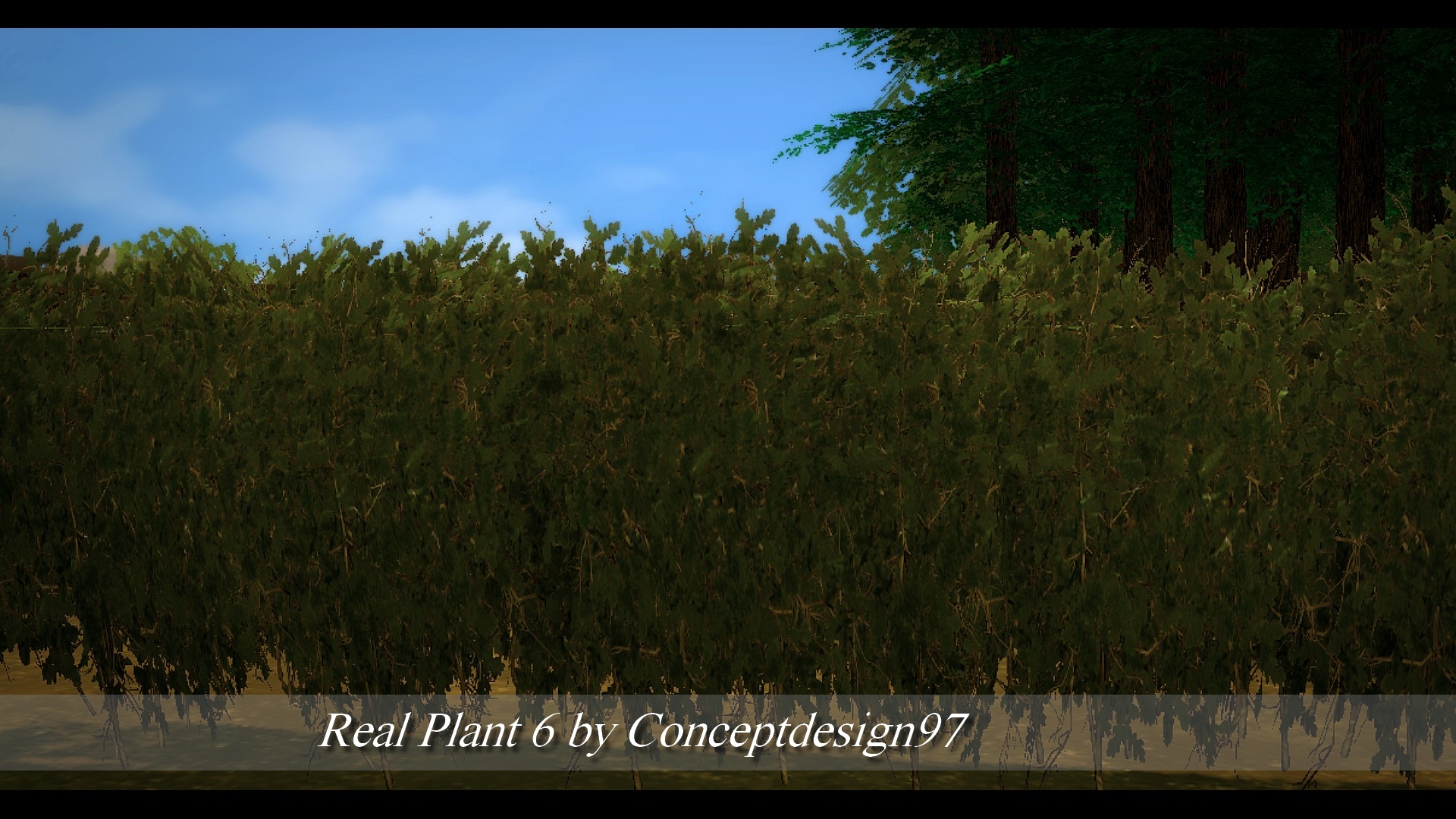 Real Plant 6.jpg