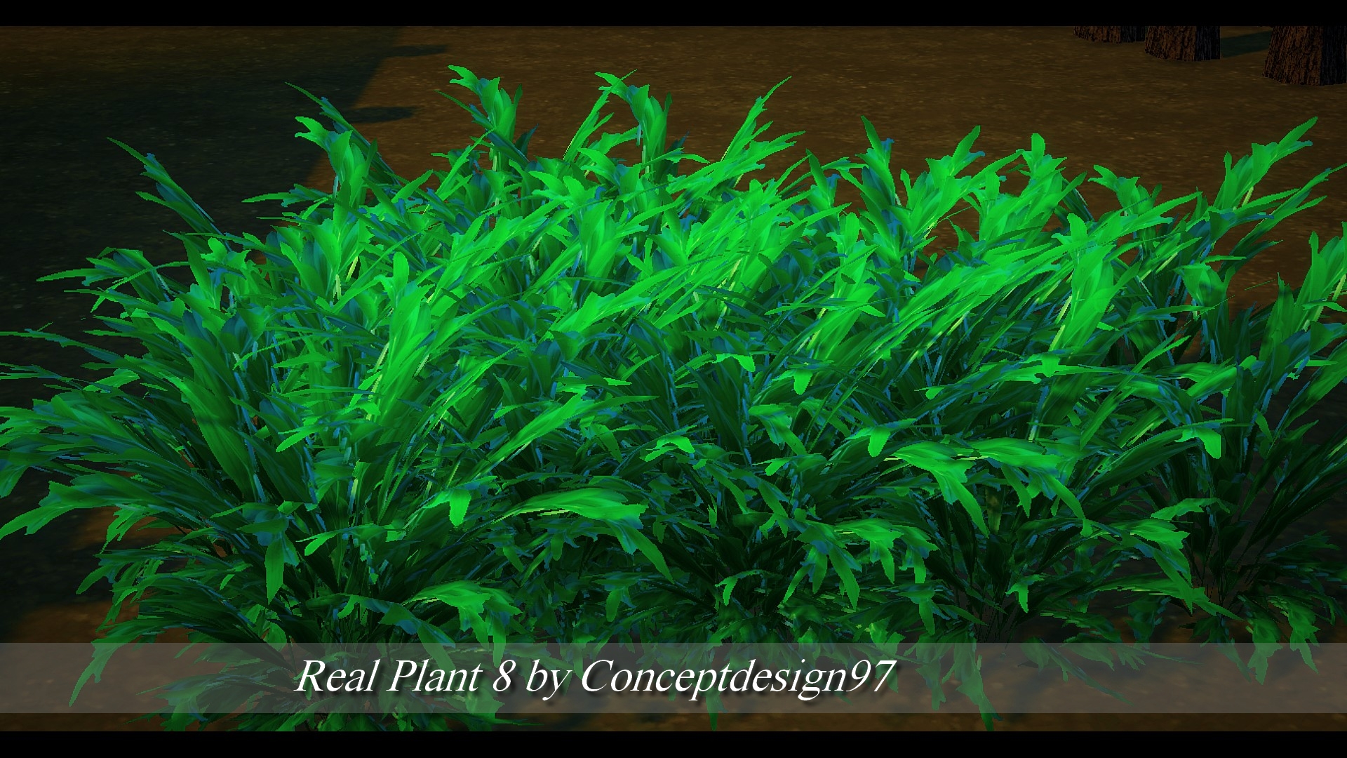 Real Plant 8.jpg