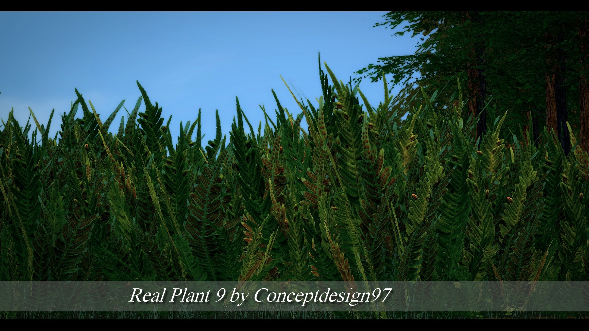 Real Plant 9.jpg