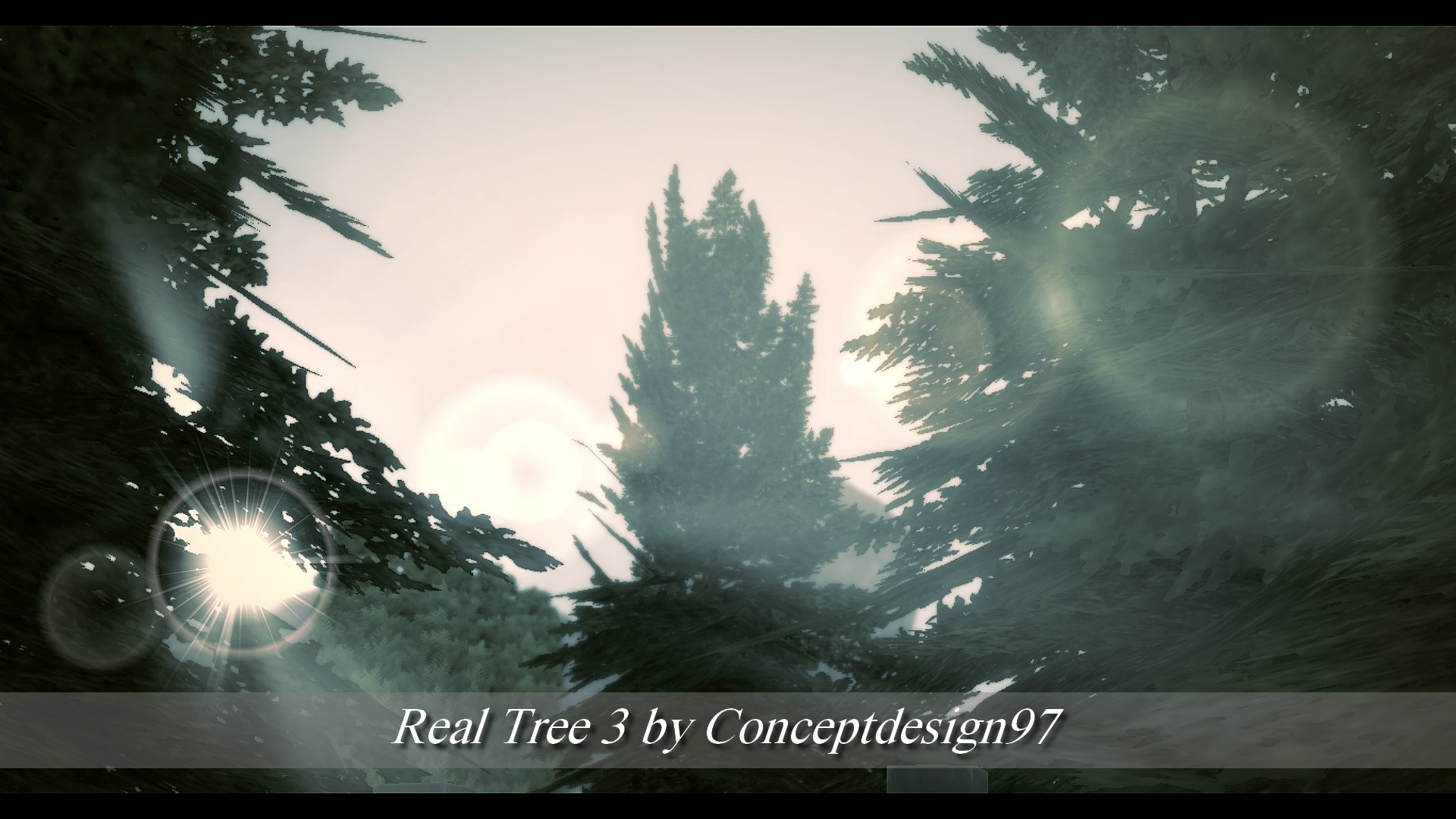 Real Tree 3.jpg