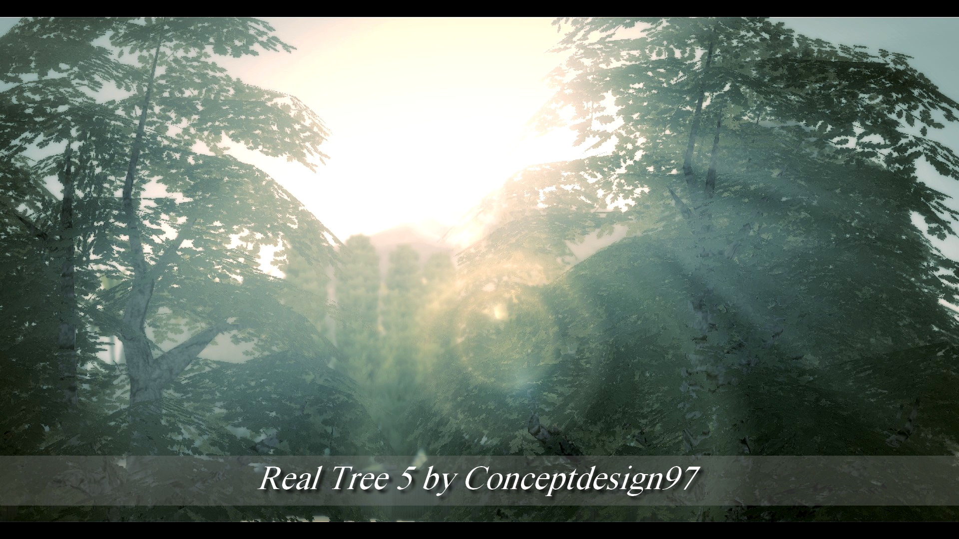 Real Tree 5.jpg