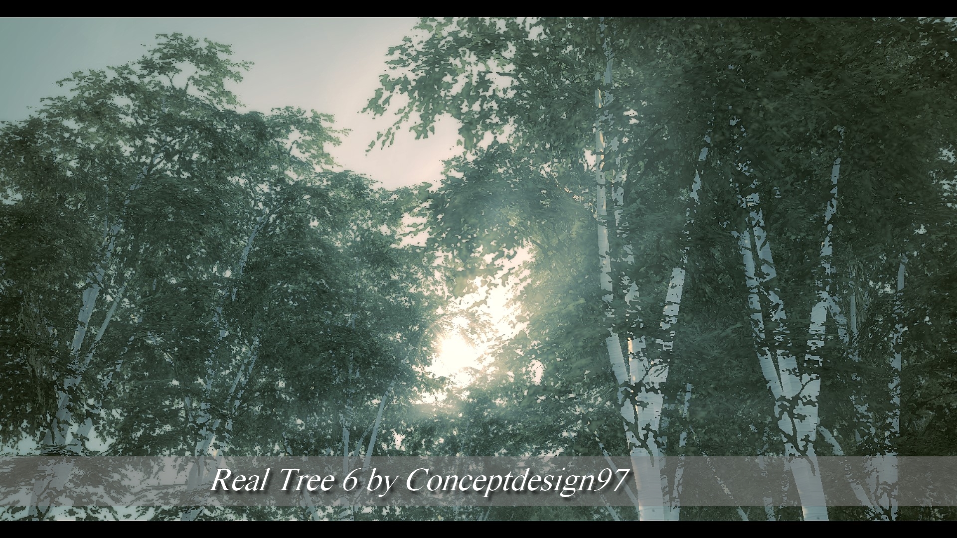 Real Tree 6.jpg