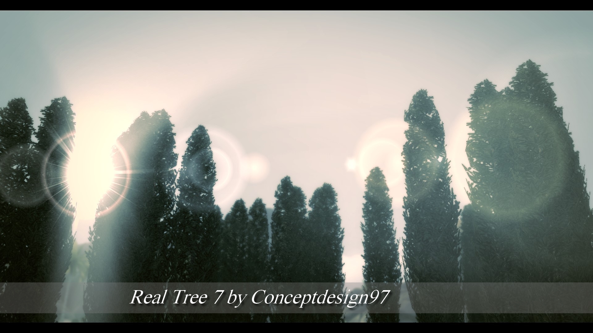 Real Tree 7.jpg