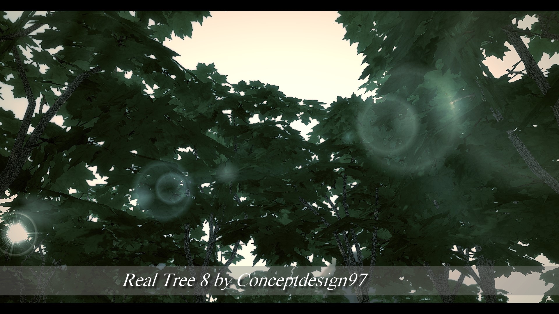 Real Tree 8.jpg