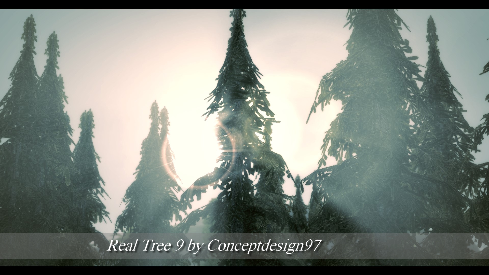 Real Tree 9.jpg