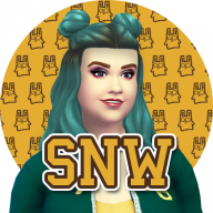 SimsNetwork